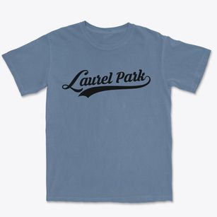 Laurel Park North Carolina Vintage Team Premium Heavyweight T-shirt