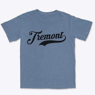 Tremont Illinois Vintage Team Premium Heavyweight T-shirt