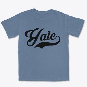 Yale Michigan Vintage Team Premium Heavyweight T-shirt