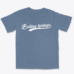 Boiling Springs North Carolina Vintage Team Premium Heavyweight T-shirt