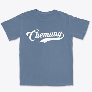 Chemung Illinois Vintage Team Premium Heavyweight T-shirt