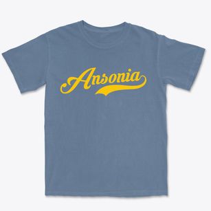 Ansonia Connecticut Vintage Team Premium Heavyweight T-shirt
