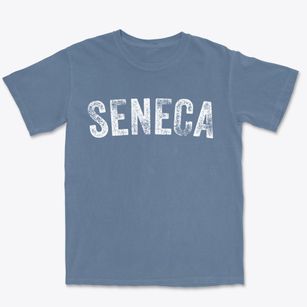 Seneca Nebraska Timeless Retro Premium Heavyweight T-shirt