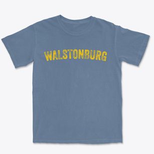Walstonburg North Carolina Timeless Retro Premium Heavyweight T-shirt