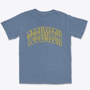 Tecumseh Michigan Trendy Block Premium Heavyweight T-shirt