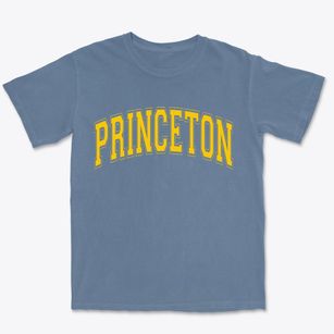 Princeton North Carolina Varsity Premium Heavyweight T-shirt