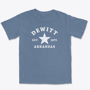 Dewitt Arkansas Star Premium Heavyweight T-shirt