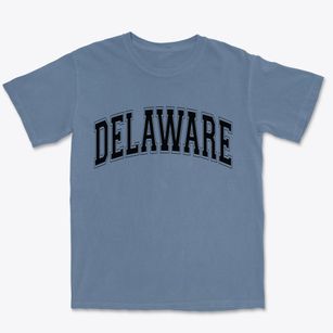  Delaware Varsity State Premium Heavyweight T-shirt