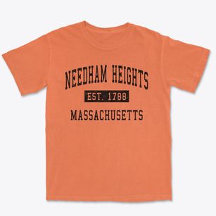 Needham Heights Massachusetts Classic Established Premium Heavyweight T-shirt