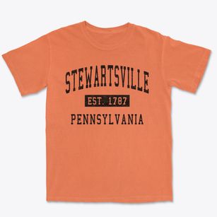 Stewartsville Pennsylvania Classic Established Premium Heavyweight T-shirt