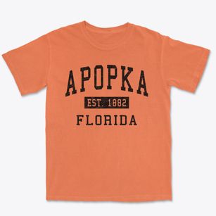 Apopka Florida Classic Established Premium Heavyweight T-shirt