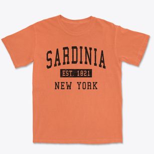 Sardinia New York Classic Established Premium Heavyweight T-shirt