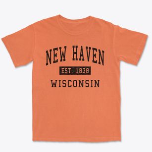 New Haven Wisconsin Classic Established Premium Heavyweight T-shirt