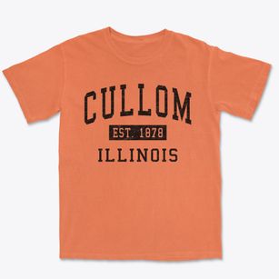 Cullom Illinois Classic Established Premium Heavyweight T-shirt