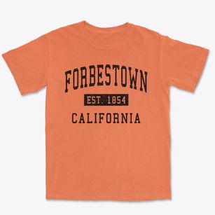 Forbestown California Classic Established Premium Heavyweight T-shirt