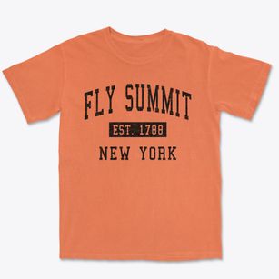 Fly Summit New York Classic Established Premium Heavyweight T-shirt