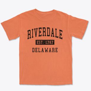 Riverdale Delaware Classic Established Premium Heavyweight T-shirt