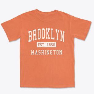 Brooklyn Washington Classic Established Premium Heavyweight T-shirt