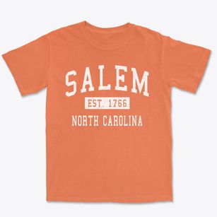 Salem North Carolina Classic Established Premium Heavyweight T-shirt