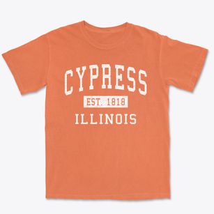 Cypress Illinois Classic Established Premium Heavyweight T-shirt