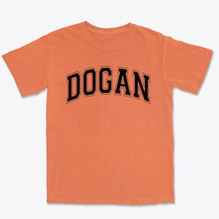 Dogan Elementary School Varsity Arch Premium Heavyweight T-shirt