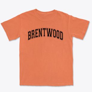 Brentwood Elementary School Varsity Arch Premium Heavyweight T-shirt
