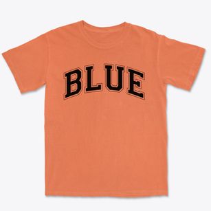 Blue Ridge Technical Academy Varsity Arch Premium Heavyweight T-shirt