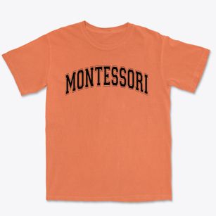 Montessori School Of Alexandria Varsity Arch Premium Heavyweight T-shirt