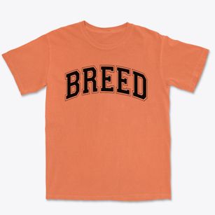 Breed Elementary School Varsity Arch Premium Heavyweight T-shirt
