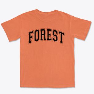Forest Charter School Varsity Arch Premium Heavyweight T-shirt