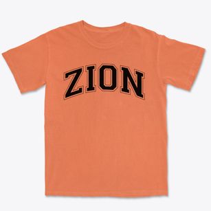 Zion Lutheran School Varsity Arch Premium Heavyweight T-shirt