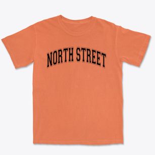 North Street Elementary School Varsity Arch Premium Heavyweight T-shirt