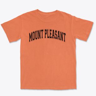 Mount Pleasant Blythdale School Varsity Arch Premium Heavyweight T-shirt