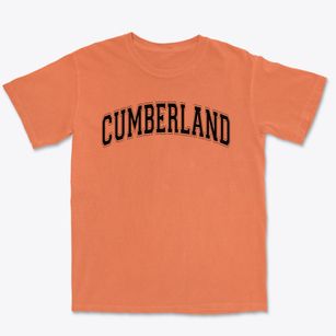 Cumberland Christian School Varsity Arch Premium Heavyweight T-shirt