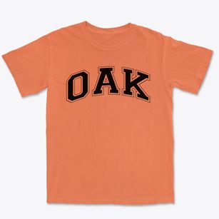 Oak Elementary School Varsity Arch Premium Heavyweight T-shirt