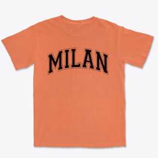 Milan Elementary School Varsity Arch Premium Heavyweight T-shirt