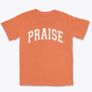 Praise Christian Academy Varsity Arch Premium Heavyweight T-shirt