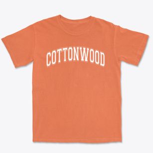 Cottonwood Elementary School Varsity Arch Premium Heavyweight T-shirt
