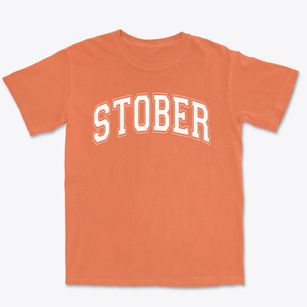 Stober Elementary School Varsity Arch Premium Heavyweight T-shirt