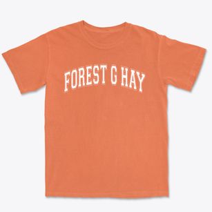 Forest G Hay Elementary School Varsity Arch Premium Heavyweight T-shirt