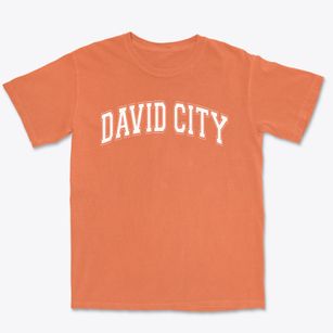 David City High School Varsity Arch Premium Heavyweight T-shirt