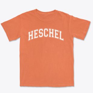 Abraham Joshua Heschel School Varsity Arch Premium Heavyweight T-shirt