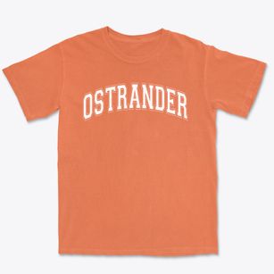 Ostrander Elementary School Varsity Arch Premium Heavyweight T-shirt