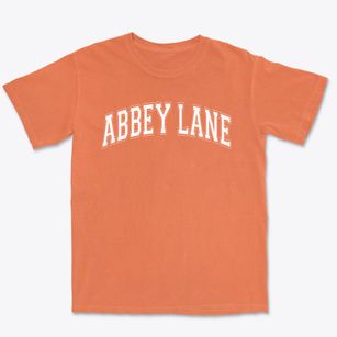 Abbey Lane Elementary School Varsity Arch Premium Heavyweight T-shirt
