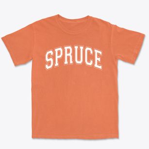 H. Grady Spruce High School Varsity Arch Premium Heavyweight T-shirt