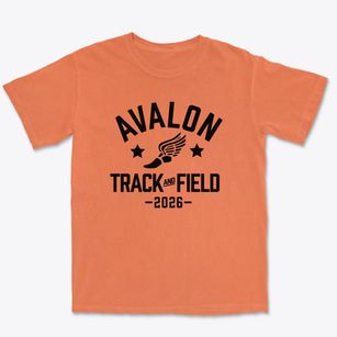 Avalon Elementary School Track and Field Premium Heavyweight T-shirt