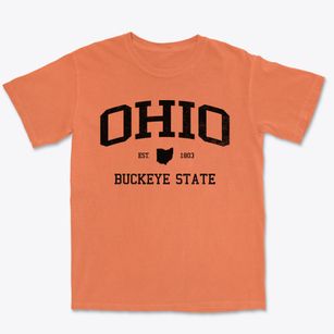  Ohio Slogan Premium Heavyweight T-shirt