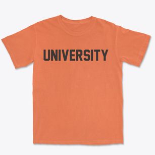 University Florida Classic Block Premium Heavyweight T-shirt
