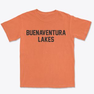 Buenaventura Lakes Florida Classic Block Premium Heavyweight T-shirt