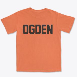 Ogden New York Classic Block Premium Heavyweight T-shirt
